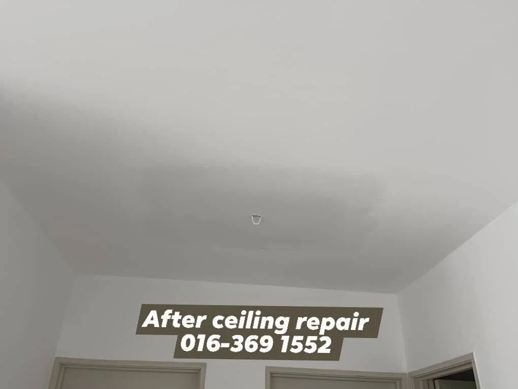 Clean work, fast response and clear pricing